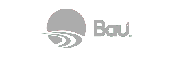precisa_bau