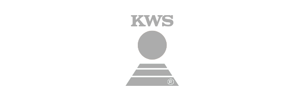 precisa_kws